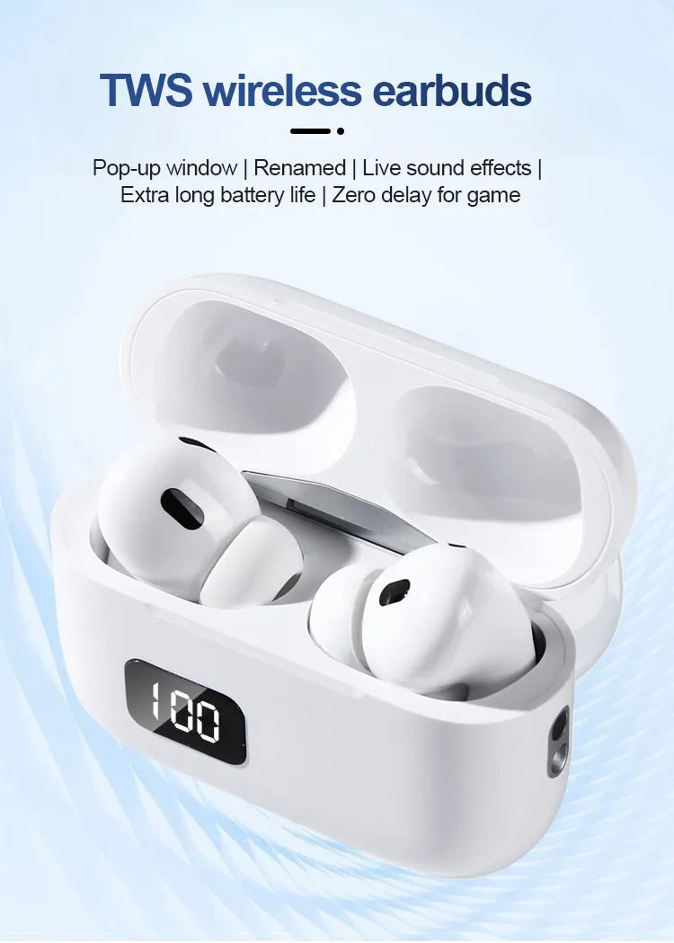TA 12 PAPADA Earbuds